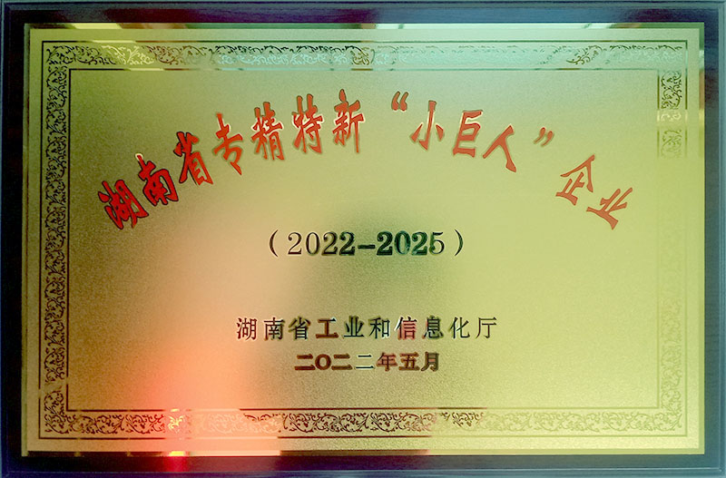 湖南省专精特新“小巨人”企业