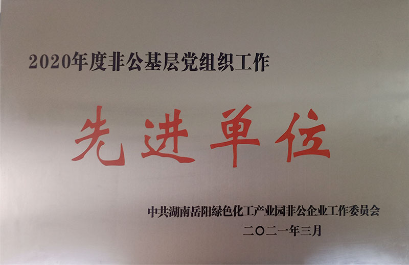 2020年度非公基层党组织工作先进单位